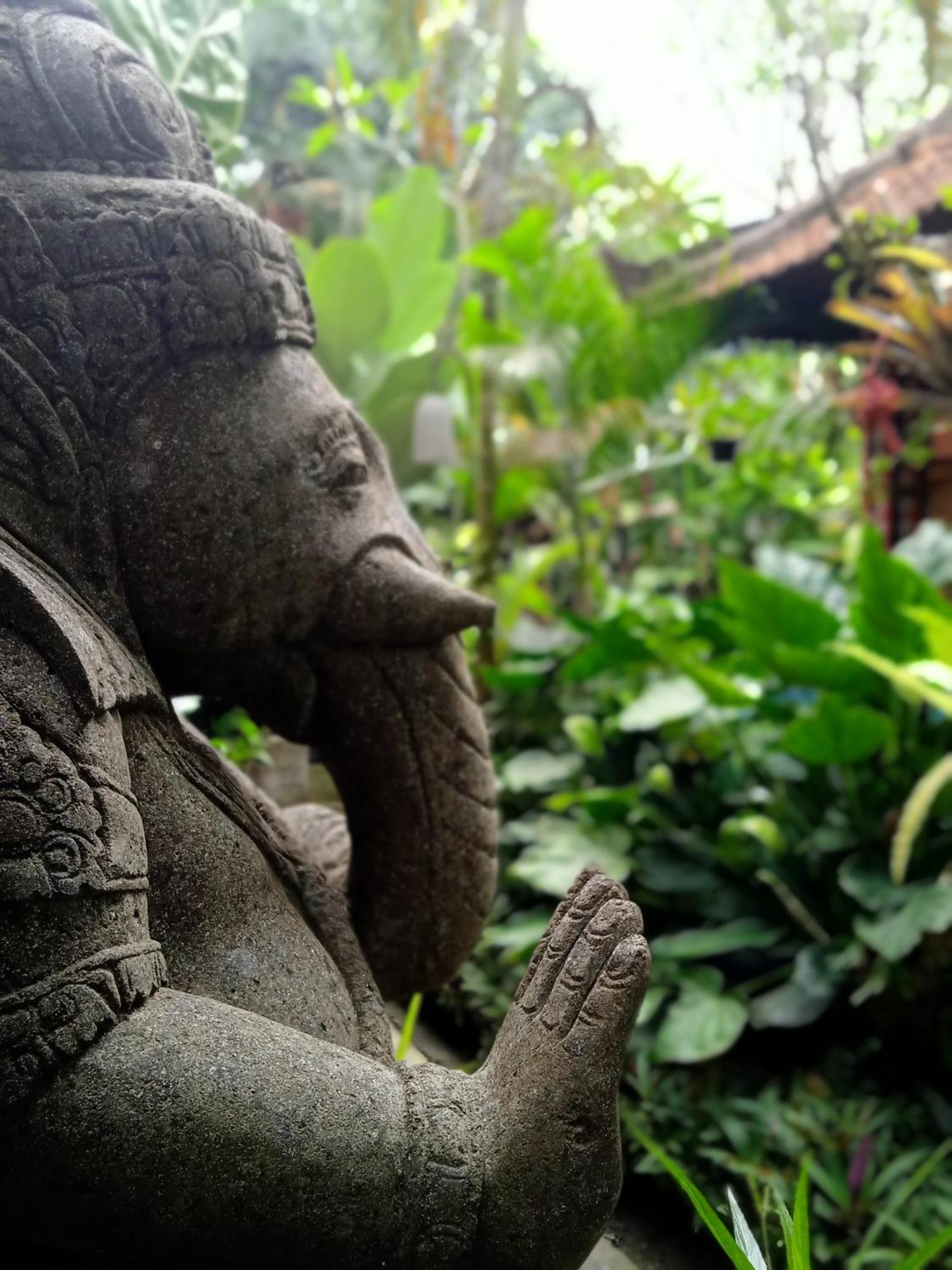 Tanah Semujan Ubud Εξωτερικό φωτογραφία