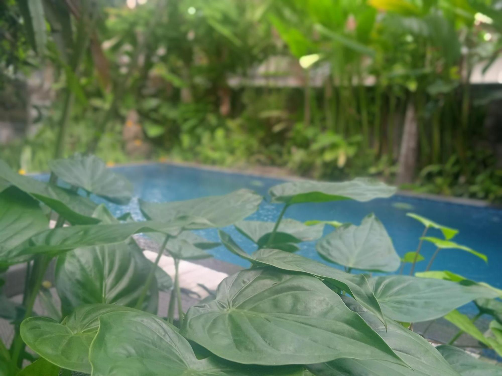 Tanah Semujan Ubud Δωμάτιο φωτογραφία